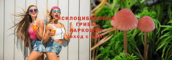 mdpv Арсеньев