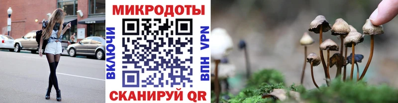 где найти   Бакал  Псилоцибиновые грибы GOLDEN TEACHER 